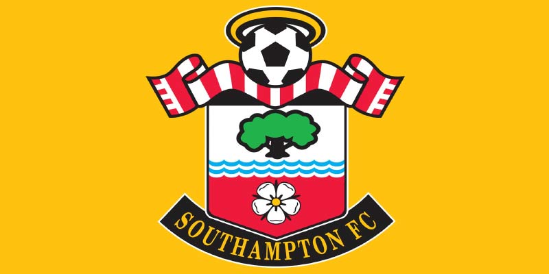 Southampton FC: The Unyielding Spirit of the Saints